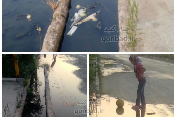 فاجعه فاضلاب در مسکن مهر کاج گنبد
