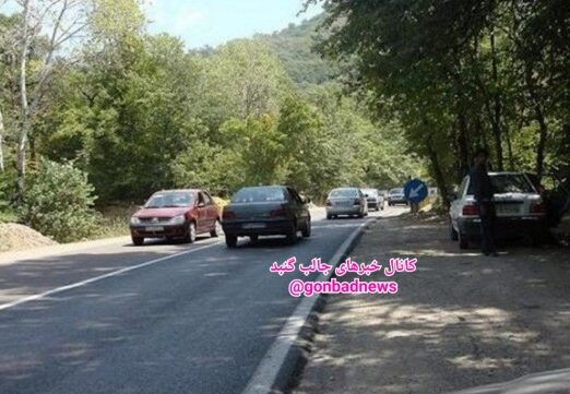 یادداشتی پیرامون زمزمه های تغییر مسیر جاده جنگل گلستان