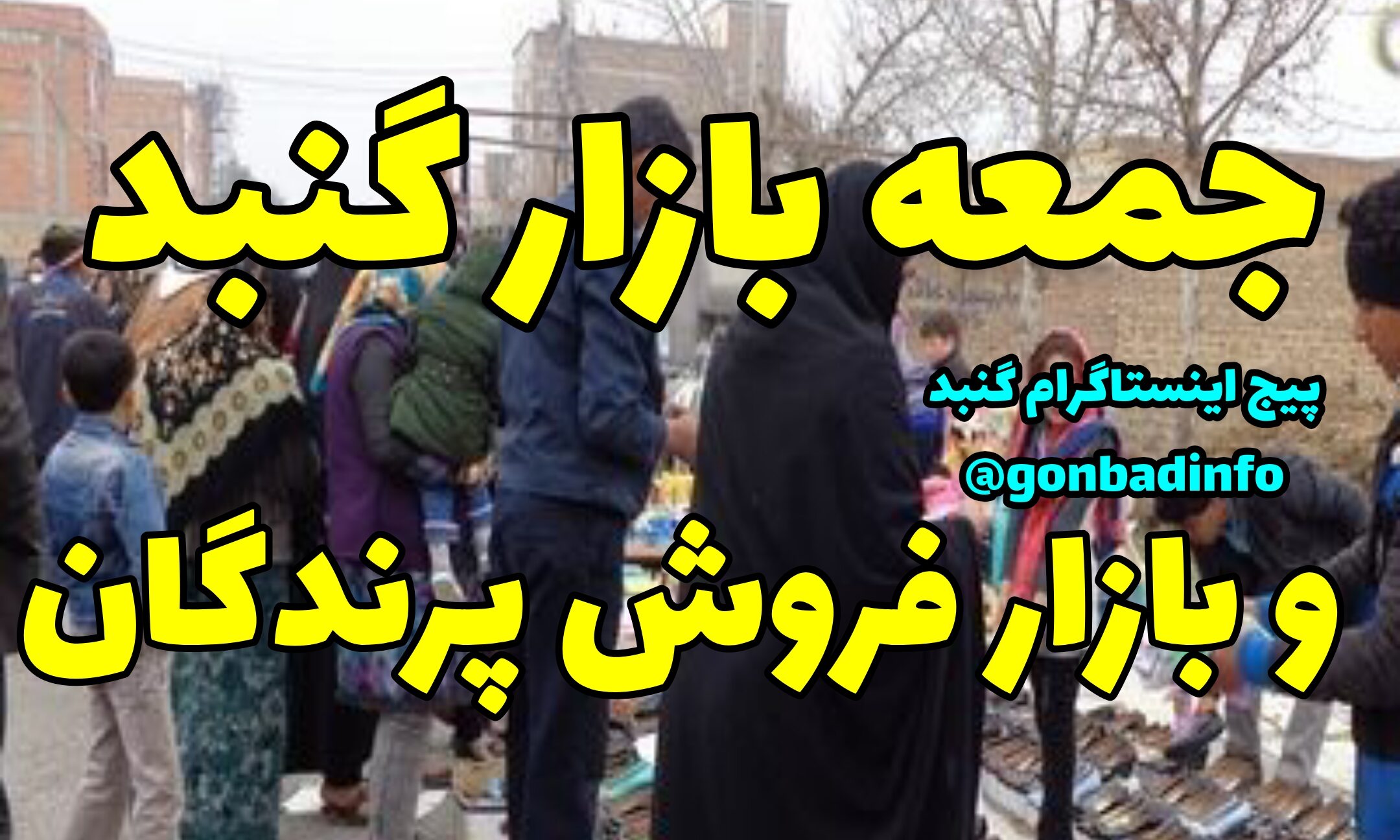 تعطیلی جمعهبازار و بازار فروش پرندگان گنبدکاووس
