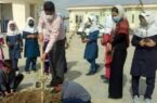 پویش ایران سرسبز هر ایرانی یک درخت در روستاهای بخش داشلی برون