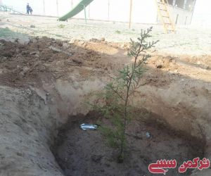 پویش ایران سرسبز هر ایرانی یک درخت در روستاهای بخش داشلی برون