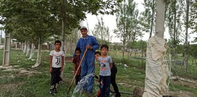 خیر درختکار گلستانی: همراهی جوانان در ترویج درختکاری موجب امیدواری است