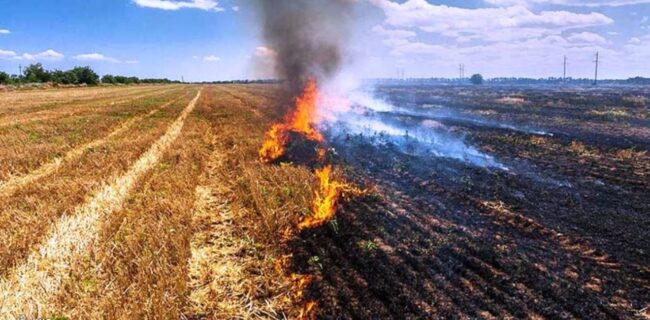 خسارت‌های جبران ناپذیر آتش زدن کاه و کلش در مزارع