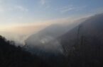 آتش به ۲ هکتار از جنگل‌های استان گلستان خسارت زد