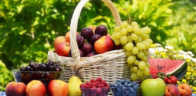پیش بینی برداشت ۱۲۰ هزار تن میوه در استان گلستان
