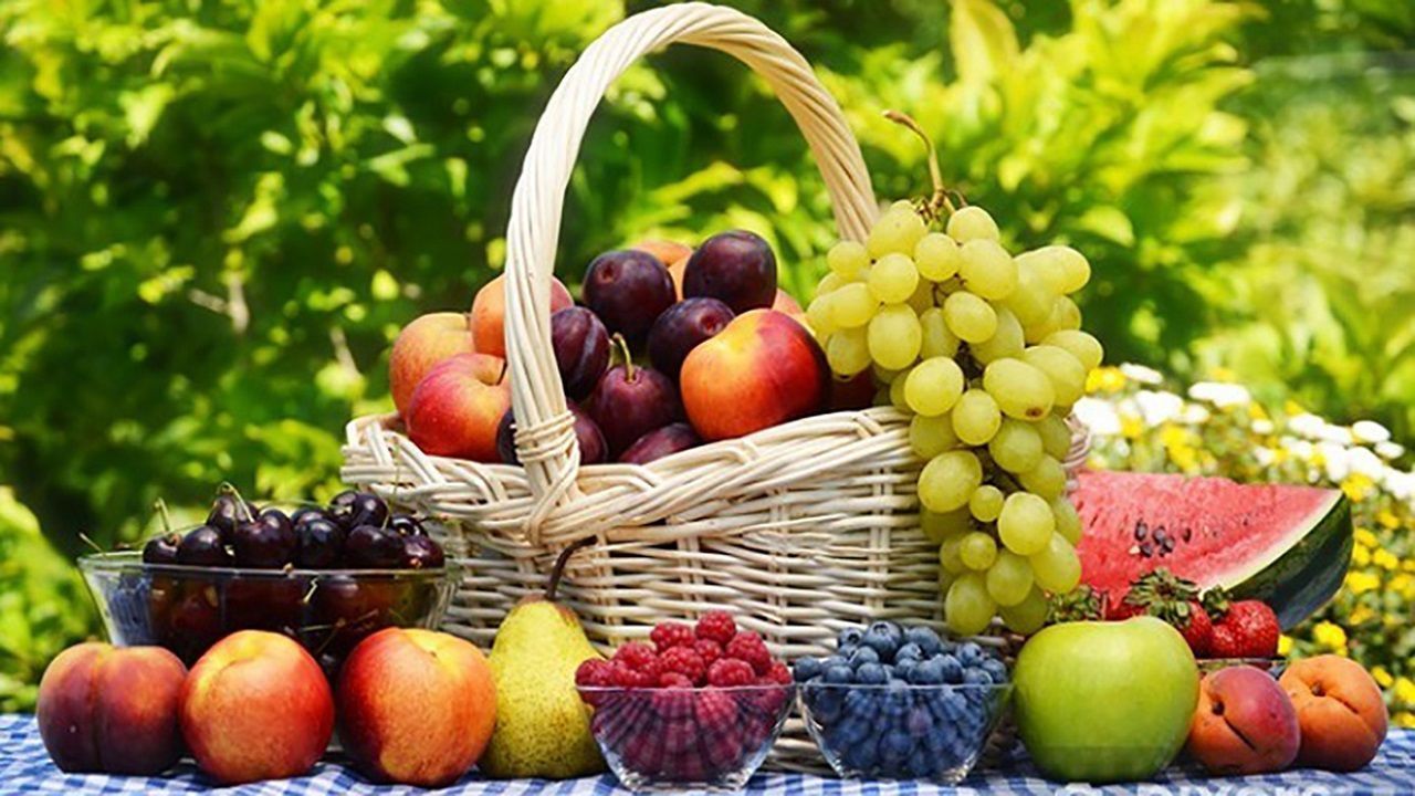 پیش بینی برداشت ۱۲۰ هزار تن میوه در استان گلستان