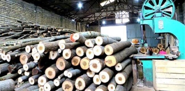 نظارت دادگستری گلستان بر خرید چوب در کارخانه‌های استان