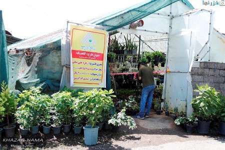 تسهیلات ارزان قیمت برای متقاضیان تاسیس گلخانه در روستا‌های گلستان