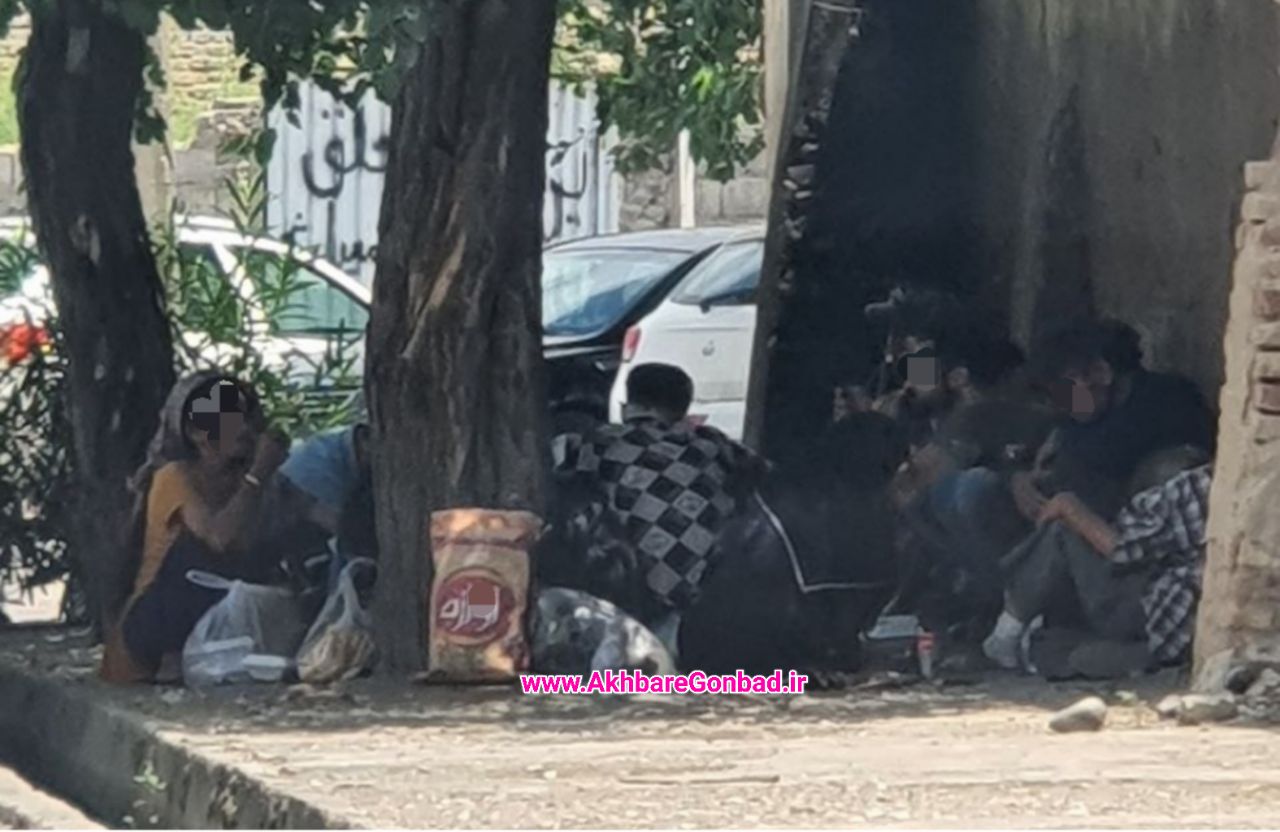 چه خبر از طرح جمع آوری و ساماندهی معتادان متجاهر در گنبدکاووس