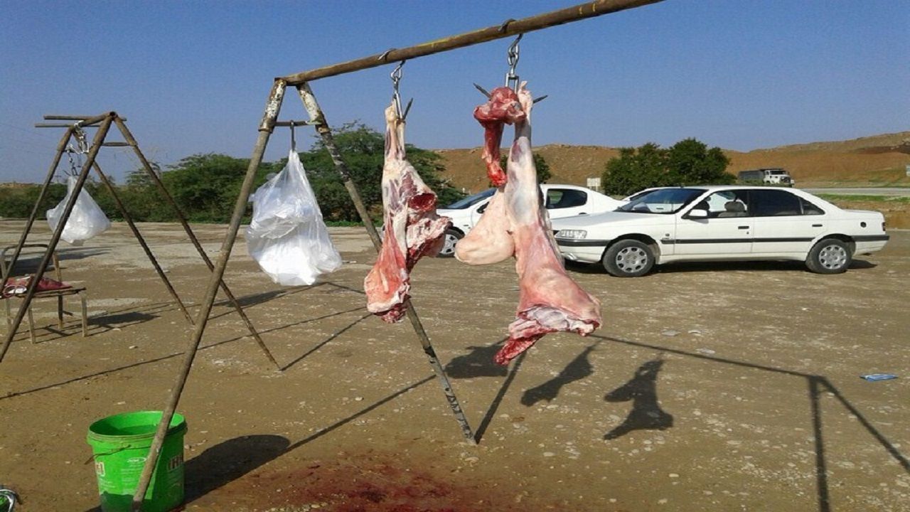 کشف دو محل کشتار غیرمجاز دام در گنبد کاووس