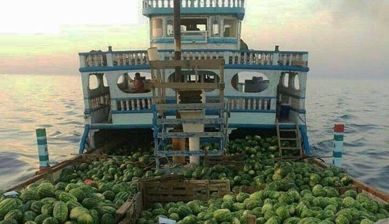 هندوانه رکورددار صادرات محصولات کشاورزی