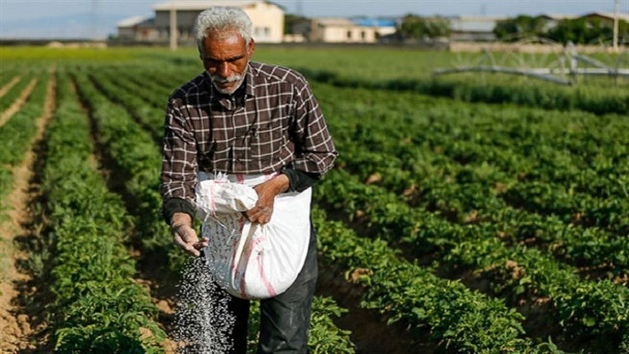 بخشودگی جریمه دیرکرد وام کشاورزان گلستانی در هفته دولت