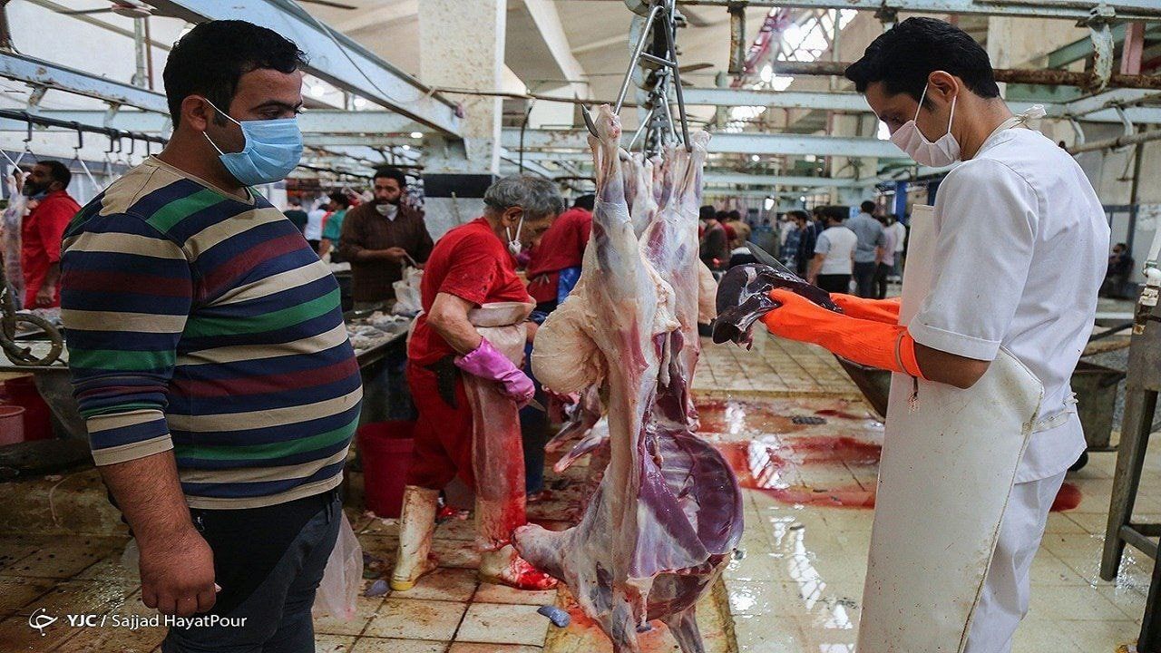 فوت ۷ نفر بر اثر ابتلا به تب کریمه کنگو از ابتدای سال