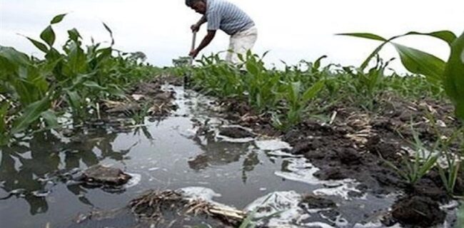 شناسایی ۹۴ مورد آبیاری مزارع با آب‌های آلوده در  استان گلستان
