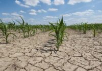 پیش‌بینی کاهش بارندگی در نخستین فصل زراعی استان گلستان
