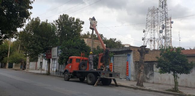 سارقان کابل‌های برق، همچنان و بی وقفه، در خیابان‌های گنبد جولان می‌دهند
