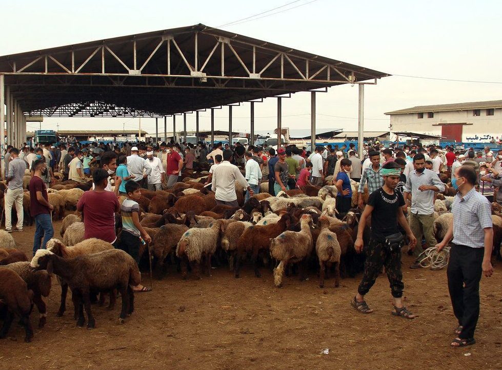مجوز ساخت میدان فروش دام گنبدکاووس در زمین ۲۵ هکتاری صادر شد