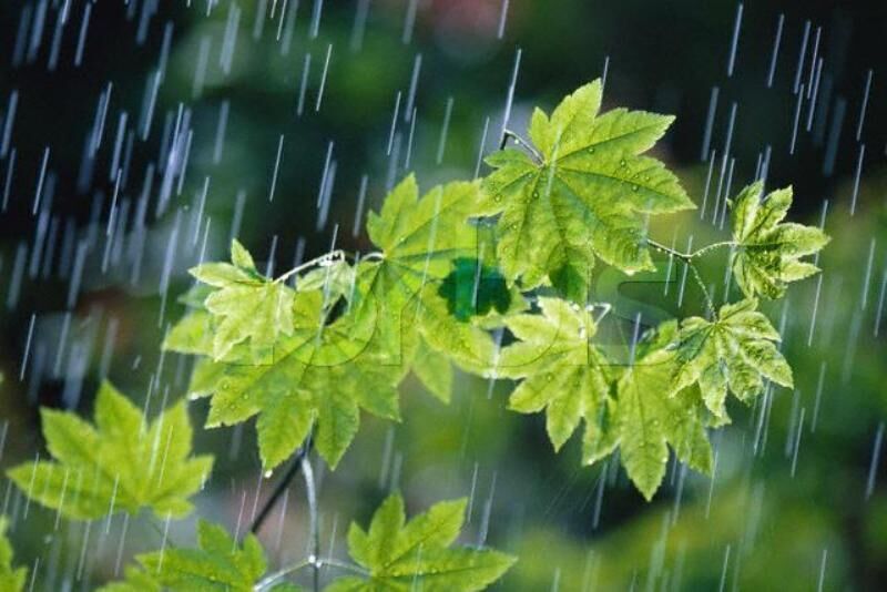 آسمان استان گلستان در یکسال اخیر فقط ۲۵ روز بارندگی موثر داشت