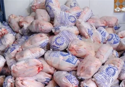 توزیع روزانه ۱۶ تن مرغ گرم و منجمد دولتی در گنبدکاووس