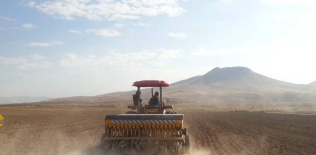 کشاورزان گلستان: کود شیمیایی موردنیاز کشت پاییزه فراهم شود