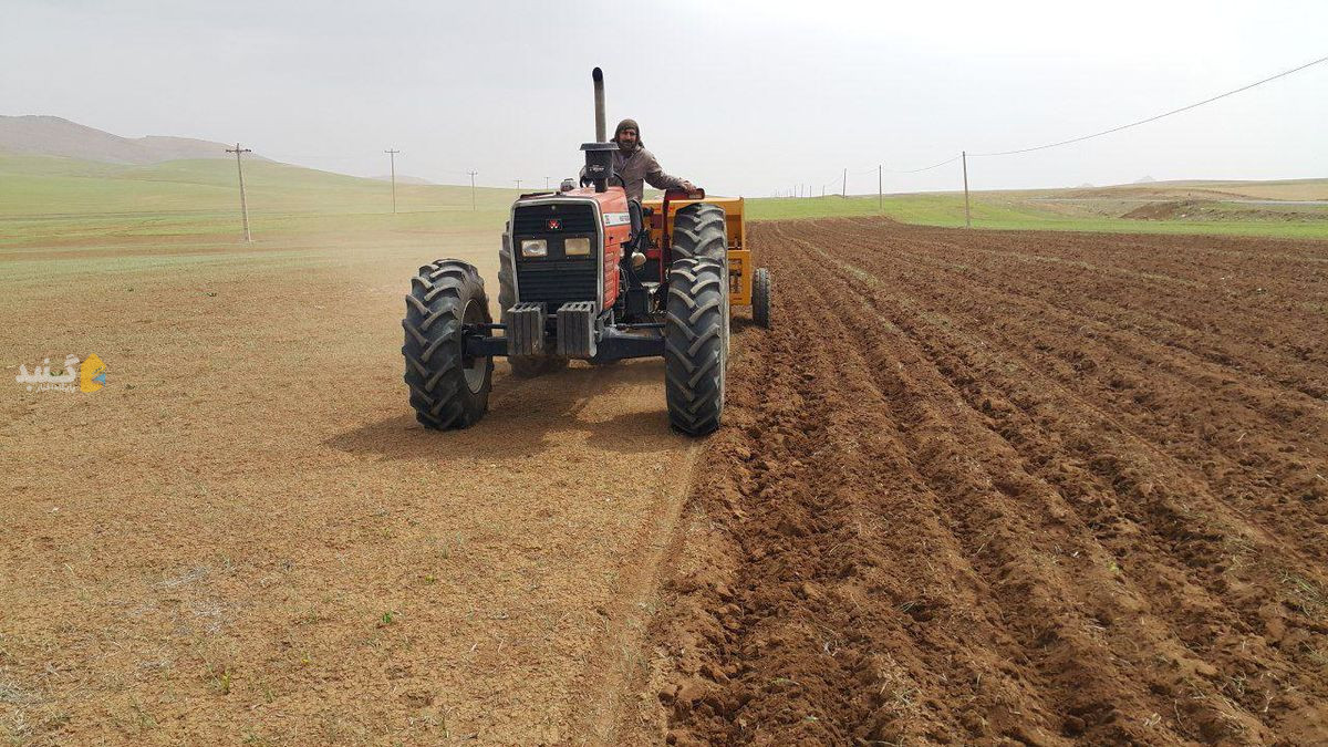 گندم کاران از باران آبان برای کشت بهره ببرند
