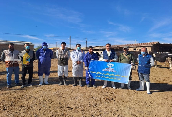 انجام اردوی جهادی دامپزشکی در ۴۹۹ روستای گلستان