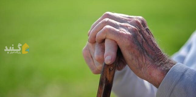 بیش از ۲۸ هزار نفر از مردم گنبدکاووس در سن سالمندی هستند.