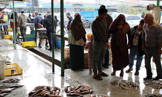 گزارش تصویری جالب از رونق بازار ماهی فروشان بندرترکمن