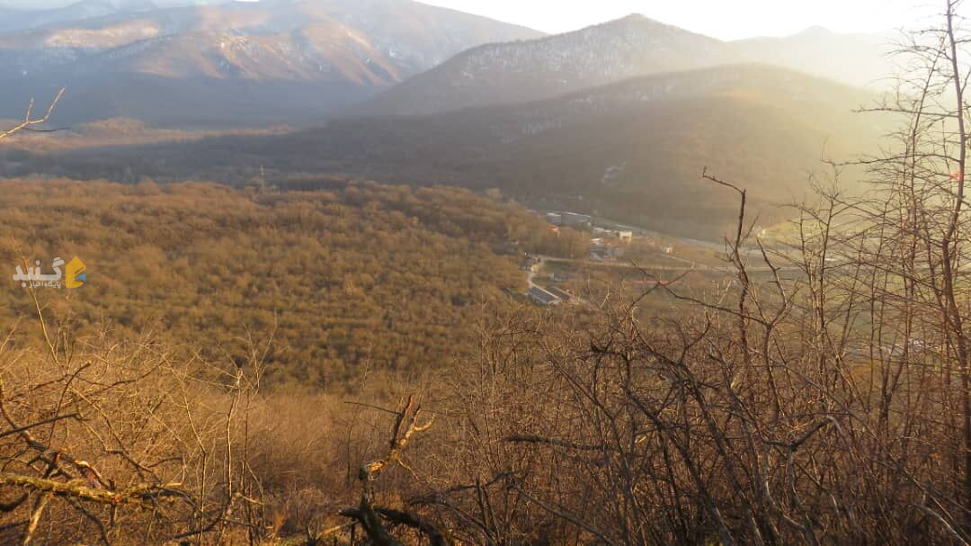 برف و باران نیامد، پارک ملی گلستان خشکید