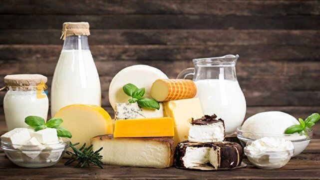 صادرات بیش از ۹۰۳ تن لبنیات استان گلستان به ۷ کشور