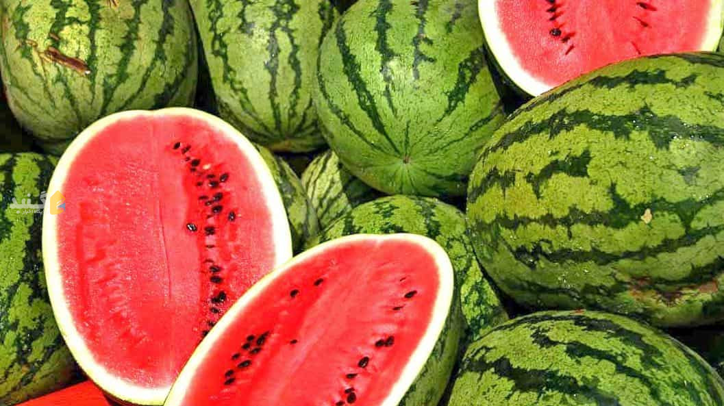 صادراتی که ضررش بیشتر از سودش است
