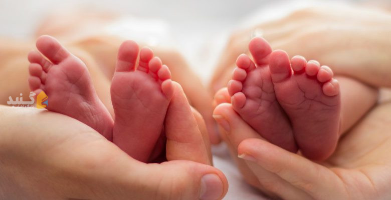 شیرین و جذاب مثل تولد 5 قلوهای گنبدی