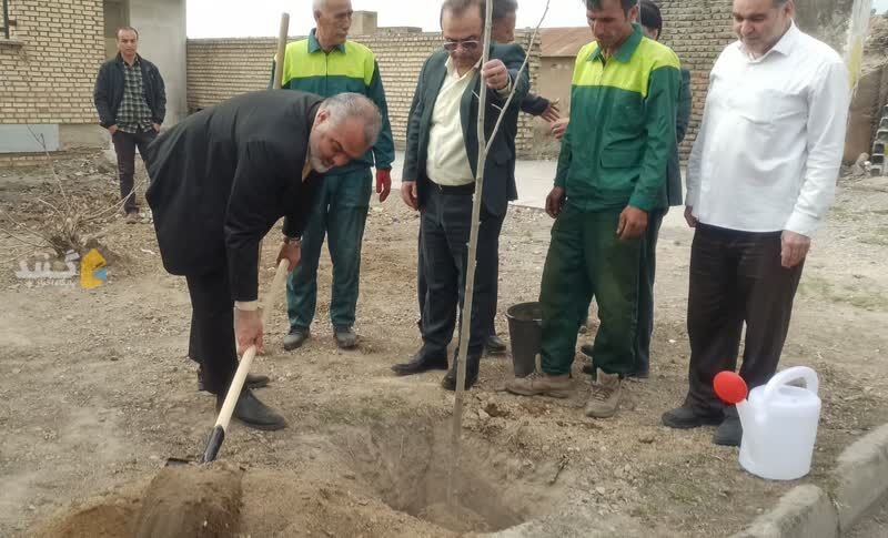 ۱۰ میلیون بوته گل در سطح شهر گنبدکاووس کاشته شد