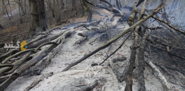 آتش پارک ملی گلستان خاموش شد