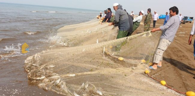 فصل صید ماهیان از دریای خزر در گلستان تمدید شد