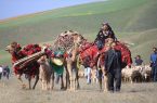 ۴۰ درصد عشایر غیربومی به‌دلیل خشکسالی از مراتع گلستان خارج شدند