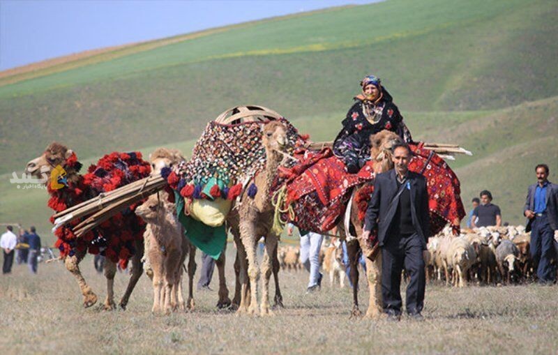 ۴۰ درصد عشایر غیربومی به‌دلیل خشکسالی از مراتع گلستان خارج شدند