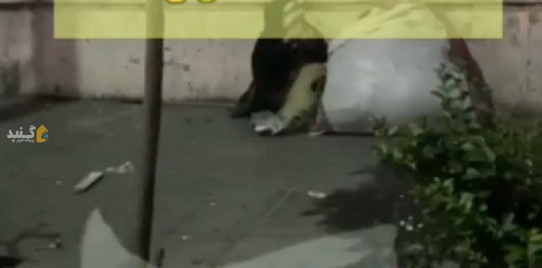 استعمال آزادانه مواد مخدر در یکی از شلوغ‌ترین نقاط شهری گنبدکاووس + مطالبه شهروندان