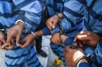 باند سارقان زورگیر و مالخرهایشان در گلستان دستگیر شدند