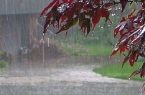 بارش‌های سال آبی در گنبدکاووس ۴۹ درصد کاهش یافت