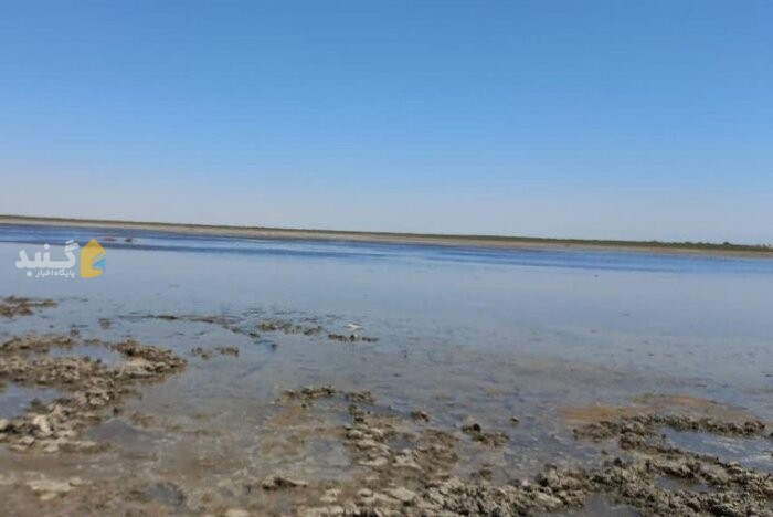 جان تازه باران به تالاب‌های بین‌المللی گنبدکاووس