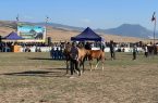 برترین‌های هفدهمین جشنواره زیبایی اسب اصیل ترکمن در کلاله معرفی شدند
