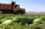تامین ناوگان حمل و نقل محصولات کشاورزی در گلستان