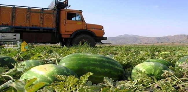 تامین ناوگان حمل و نقل محصولات کشاورزی در گلستان