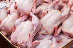 روزانه ۲۰ تُن مرغ گرم و تخم مرغ دولتی در گنبدکاووس توزیع می‌شود
