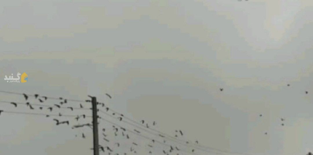 علت قطعی برق صبحگاهی در گنبدکاووس
