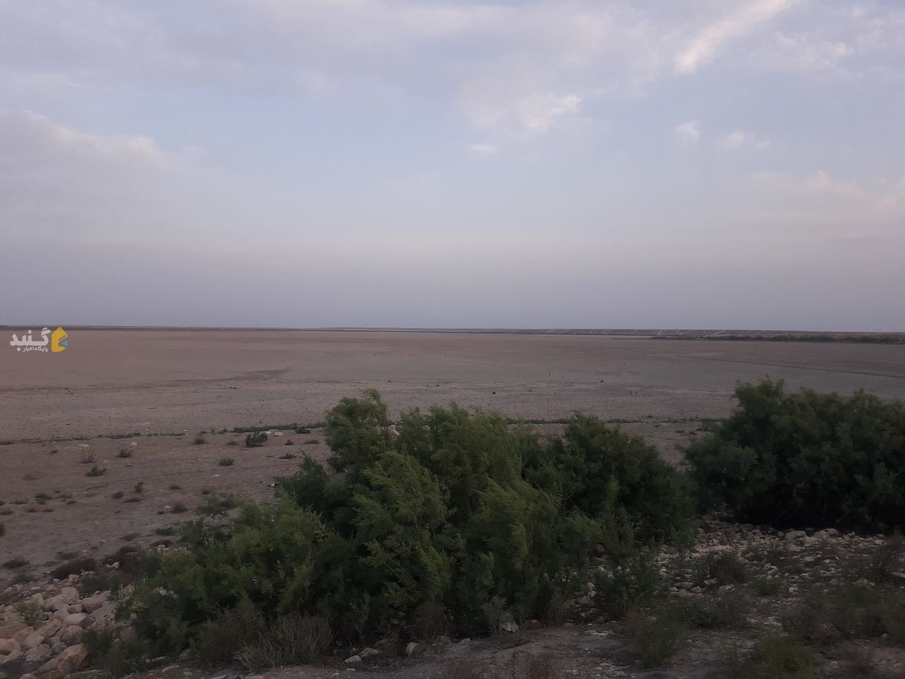 وضعیت غم‌انگیز تالاب آلاگل شهرستان گنبدکاووس +فیلم