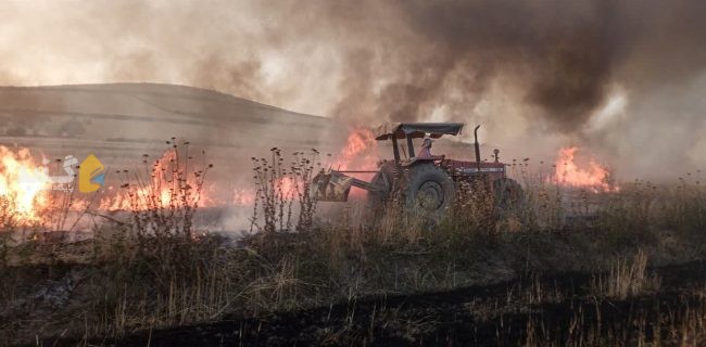بی احتیاطی آتش بر جان اراضی زراعی گندم در شرق گلستان انداخت + فیلم