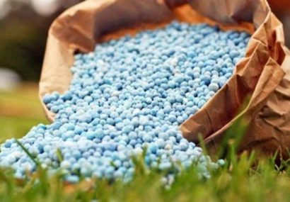 ۲۲ هزار تُن کود شیمیایی برای زراعت تابستانه در گلستان آماده توزیع است