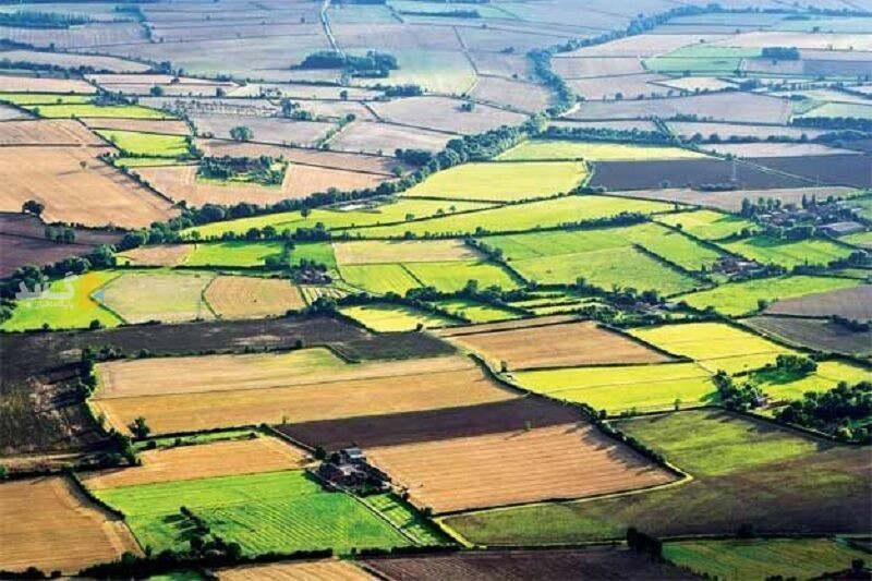 توسعه کشاورزی گلستان دارای برنامه است